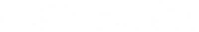 Loomis Express logo